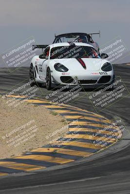 media/Mar-30-2025-Pro Autosports (Sun) [[34ff8f16e0]]/2-Blue-White Group/Main Race/